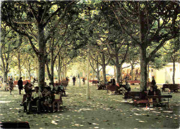 N� 1594 - CURIA - Parque - Ed. Portugal Tur�stico - 14,7x10,5 cm. - Circ. 7/1978 - Col. A. Sim�es 1094.