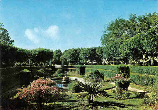 N� 555 - CURIA - Jardins do Palace Hotel - Ed. �ncora, Lisboa - 14,8X10,3 cm. - Col. A. Sim�es 1054.