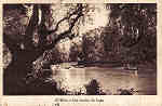 SN - CURIA - Um trecho do Lago - Neogravura, Limitada, Lisboa - Dim. 14.3x9,2 cm - Circul.1943 - Col. A. Sim�es (160 - 1).