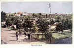 N� 02 - Parque da Curia - Ed. Sociedade das �guas da Curia - Dim.13,9x9,1 cm - Col. A. Sim�es (039).
