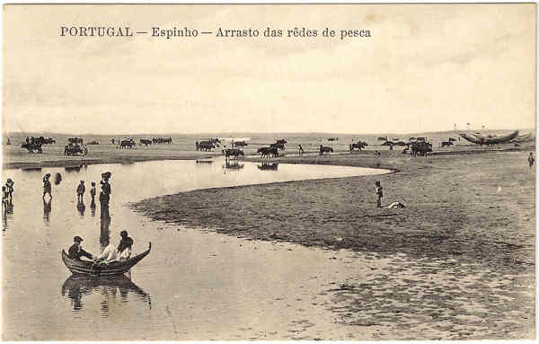 SN - PORTUGAL - Espinho-Arrasto das r�des de pesca - Editor Alberto Malva, Rua Madalena, Lisboa - SD - Dim. 8,6x13,7 cm. - Col. Jaime da Silva (Circulado em 1920).