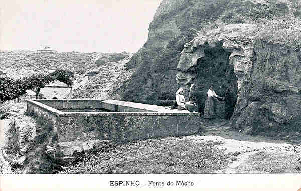 SN - Portugal. Espinho - Fonte do M�cho - Editor Tabacaria Arlindo Lopes - Dim. 14x9 cm. - Col. M. Chaby