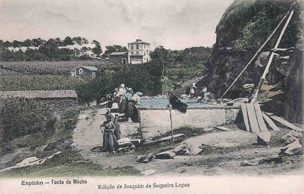 SN - Portugal. Espinho. Fonte do M�cho - Editor Joaquim de Sequeira Lopes - Dim. 14x9 cm. - Col. M. Chaby