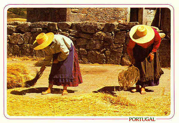 N.� 9 - Portugal - Malha do centeio e o varrer da eira - Edi��o �ncora, tel. 3952192 (S/D) - Dimens�es: 14,9x10,4 cm. - Col. F�tima B�ia (1995).