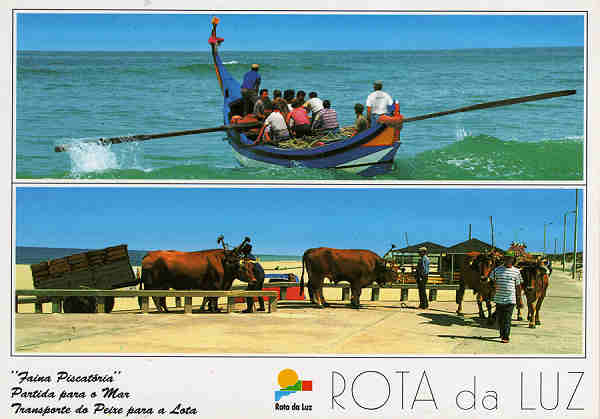 N� 39 - ROTA DA LUZ - Faina Piscat�ria, Partida para o Mar.- Ed. Artes Gr�ficas - Dim 15x10,5 cm. - Col. M�rio Silva.