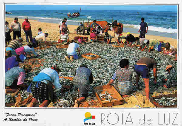 N� 44 - ROTA DA LUZ Faina Piscat�ria A Escolha do Peixe - Ed. Artes Gr�ficas - SD - Dim. 15x10,5 cm. - Col. M�rio Silva.