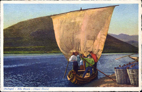 N� 107 - ALTO DOURO, Barco � vela - Ed. Tabacaria Africana, Porto - Dim. 149x90 mm - Circulado em 1951 - Col. A. Monge da Silva (1950)