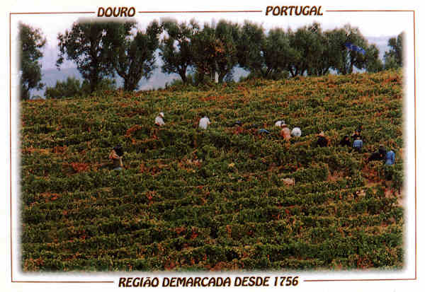 N� 36 - Ed. Penatour, Lda - Dim. 14,8x10,4 cm - Col. M�rio Ferreira da Silva