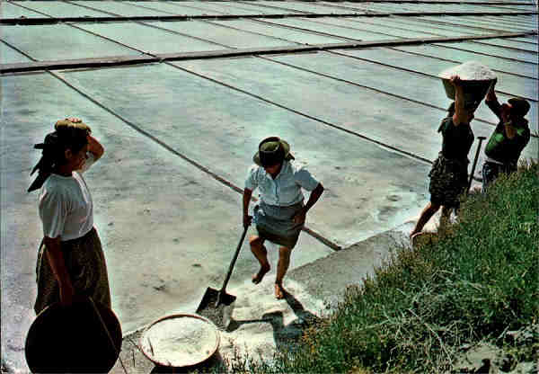 N.� 941 - FIGUEIRA DA FOZ-PORTUGAL Carregando o sal - Edi��o �NCORA Distribu�do por IAN, Lisboa Rua da Quintinha 70 B Tel. 670192 - S/D - Dimens�es: 14,75x10,3 cm. - Col. HJCO (Circulado em 1978)