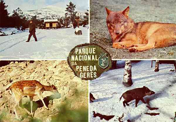 N.� 426 - (Portugal) Parque Nacional da Peneda-Ger�s. Alguns aspectos do Parque e da sua fauna - Edi��o Lusocolor, Arcos de Valdevez - S/D - Dimens�es: 14,9x10,4 cm. - Col. Manuel B�ia.