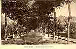S/N - Guimar�es: Avenida do Caminho de Ferro - Sem indica��o do editor - S/D - Dimens�es: 14,1x9 cm. - Col. Aur�lio Dinis Marta.