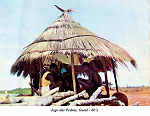 SN - Guin�. Jogo das Pedras, Guin� 60's - Ed. Foto Iris-Bissau - SD - Dim. 14,8x10,5 cm - Col. Francisco Barroqueiro.