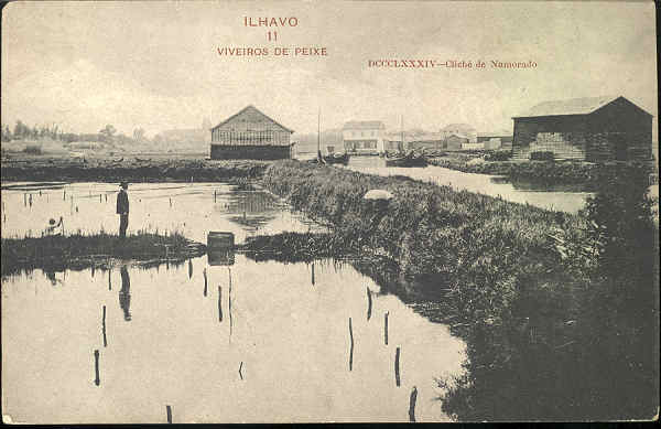 N� 11_ILHAVO_VIVEIROS DE PEIXE_Ed.Pap.eTyp.dePauloGuedeseSaraiva, Aurea, 80-Portugal-Lisboa_DCCCLXXXXIV-Clich� de Namorado_SD_Dim13,7x8,7cm_Col Paulo Neves.