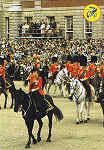 Lo47 - LONDON  H.M. Queen Elizabeth II. Trooping the Colour. - Ed. Thomas & Benacci Lda. - LONDON Tel.(01)4032835 RIALTO Printed in Italy - SD - Dim. 10,2x 14,7 cm - Col. Manuel B�ia (1986)