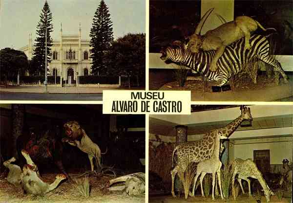 N.� 208 - LOUREN�O MARQUES-Mo�ambique Museu �lvaro de Castro - Edi��o C�MER, Trav. do Alecrim, 1 Tel. 328775, Lisboa Portugal - S/D - Dimens�es: 15x10,4 cm. - Col. Manuel B�ia (1970).