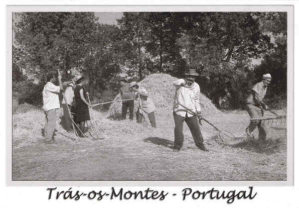 N.� 40531 - Tr�s-os-Montes - Portugal - Usos e Costumes Regionais - Nunes de Almeida.Editores, AP 83 2711- 999 Sintra postaisdeportugal@portugalmail.pt Arquivo:Foto Fernandes*Macedo de Cavaleiros Fotografia:Cortesia da Junta de Freguesia de Morais-Macedo de Cavaleiros - SD - Dim. 15x10,5 cm - Col. F�tima B�ia (2011)