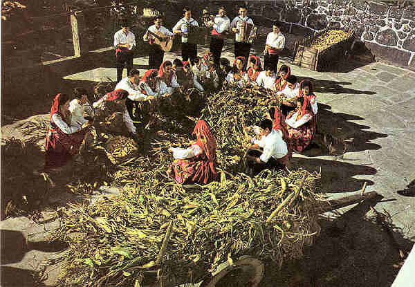 N.� 24 - NORTE DE PORTUGAL Desfolhada Minhota - Ed. Centro de Caridade "Nossa Senhora do perp�tuo Socorro" - Dimens�es: 15x10,4cm - Col. M. F. S ilva (1972).