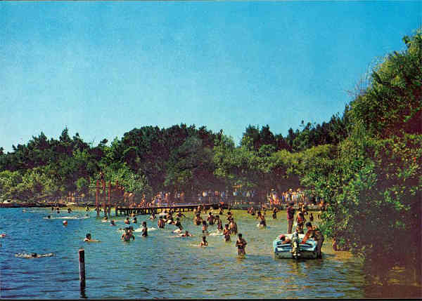 N.� 22 - PRAIA DE MIRA O banho na Barrinha - Fotos e edi��o de BRUMA, LIMITADA, Coimbra, Tel. 22324 - S/D - Dimens�es: 15x10,3 cm. - Col. HJCO (1967)