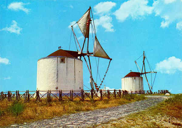 N.� 466 - PORTUGAL - Colec��o D�LIA - S/D - Dimens�es: 14,9x10,4 cm. - Col. HJCO