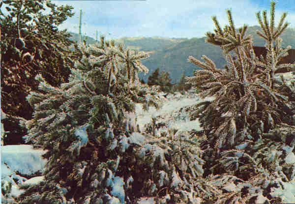 Ref 1347 - SERRA DA ESTELA. A Su��a Portuguesa - Edi��o RAN, Lisboa - SD - Dim. 15x10,5 cm - Col. A. Monge da Silva (1975)