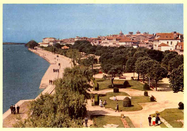 N.� 19 - VIANA DO CASTELO: Trecho da Avenida Marginal - Edi��es Lusocolor, Visado nos termos do decreto... - S/D - Dimens�es: 15x10,5 cm. - Col. F�tima B�ia (1959).