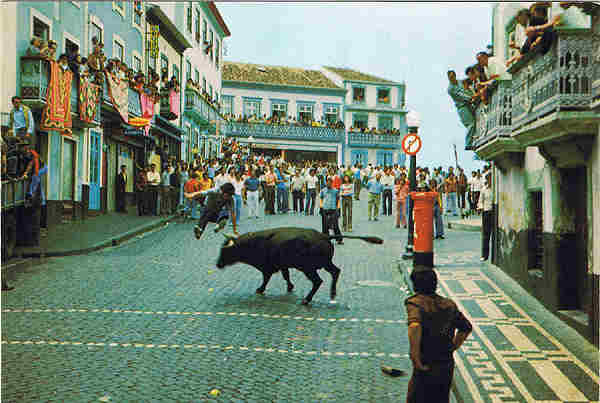 N� 38 - ILHA TERCEIRA - A�ores  Espera de Touros - Ed. ORMONDE - S/D - Dim. 15x10,4 cm. - Col. Manuel B�ia (1981).