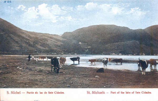 N� 125 - S�O MIGUEL. Sete Cidades. Parte do lago - Edi��o an�nima - Dim. 14x9 cm - Col. A. Monge da Silva (cerca de 1910)