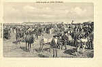 N.� 529 - Feira de Gado em Alvito - Ed. Costa - S/D- Dimens�es: 14x9 cm. - Col. an�nimo.