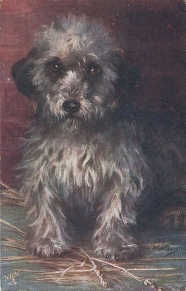 N� 9462 - Edi��o Raphel Tuck & Sons, Marca Oilette, Inglaterra - Circulado em 1917 - Dim. 13,8x8,8 cm - Col. Am�lcar Monge da Silva