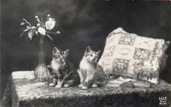 N� 8131 - Edi��o LUZ, Paris - Circulado em 1924 - Dim. 13,3x8,5 cm - Col. Am�lcar Monge da Silva