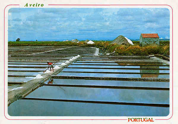 N.� 31 - AVEIRO Salineiros, marnotos preparando o sal - Ed. �ncora - SD - Dim. 15x10,5cm - Col. M�rio Silva.