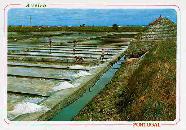 N.� 32 - AVEIRO Prepara��o do sal - Ed. �ncora - SD - Dim. 15x10,5 cm - Col. M�rio Silva.