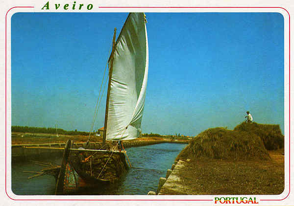 N.� 3008 - AVEIRO Barco na Ria - Ed. �ncora - SD - Dim 15x10,5 cm - Col. M�rio Silva.