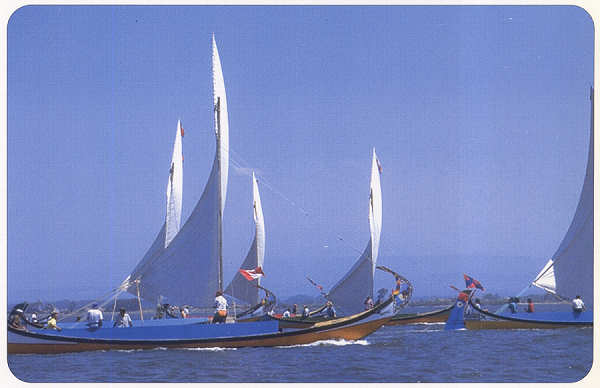 SN - Moliceiros � compita - Ed. C�mara Municipal de Aveiro. Foto Manuel Gamelas - SD - Dim. 15x10 cm - Col. Gaspar Albino