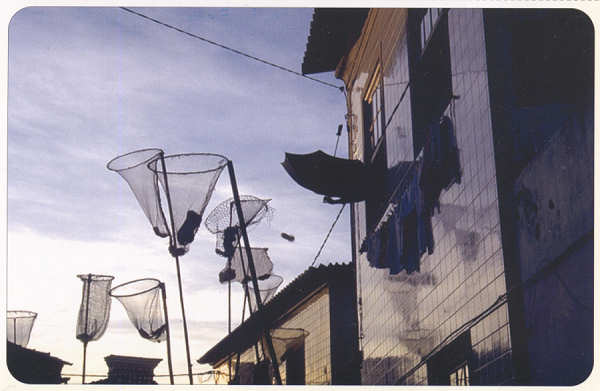 SN - Cavacas de S. Gon�alinho - Ed. C�mara Municipal de Aveiro. Foto Manuel Gamelas - SD - Dim. 15x10 cm - Col. Gaspar Albino