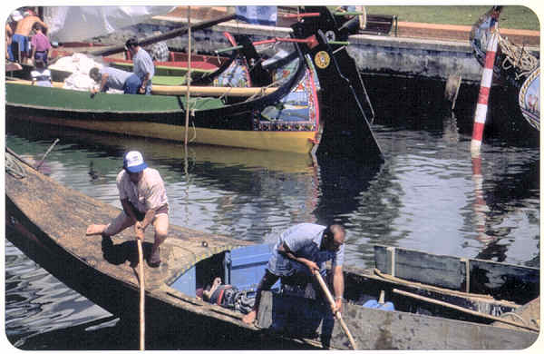SN - � vara - Ed. C�mara Municipal de Aveiro. Foto Manuel Gamelas - SD - Dim. 15x10 cm - Col. Gaspar Albino