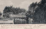 N� 517 - Portugal. Caldas da Rainha. Ponte sobre o Lago - Editor Paulo Emidio Guedes e Saraiva - Editado em 1903 - Dim 9x14 cm. - Col. M. Chaby