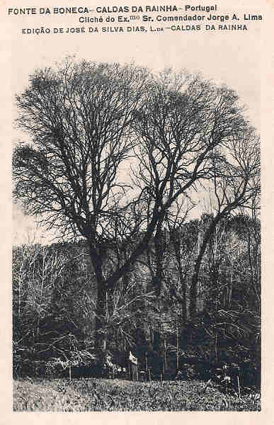 SN - Portugal. Caldas da Rainha. Fonte da Boneca - Editor Jos� da Silva Dias (1920) - Dim. 9x14 cm - Col. Miguel Chaby