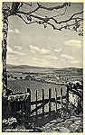 SN - Caminha - Ed. Havanesa Caminhense - Foto Beleza-Porto (Made in Germany) - Dimens�es: 14x9 cm - (circulado 20-10-1941) 