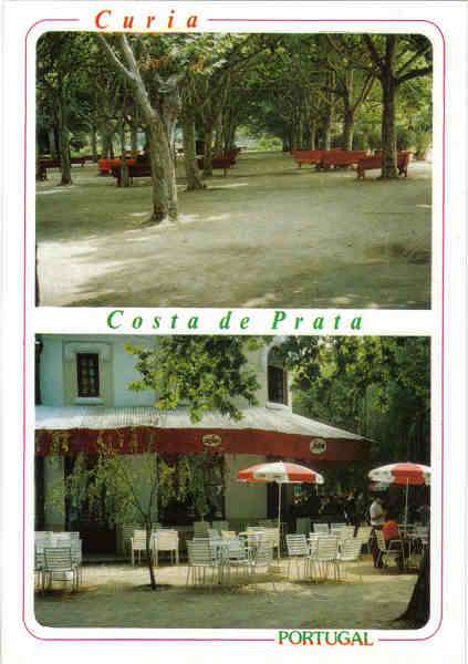 N� 4910-CURIA-Portugal-Pormenor do parque e esplanada-Ed ANCORA-14,9x10,4cm-Colec A SIMOES 1100