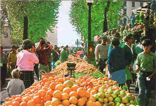 MD 5 - Madeira, Mercado - Ed. Photo Precision,Ltd. Great Britain - SD - Dim. 14,9x10,5 cm. - Col. F�tima e Manuel B�ia (1975).