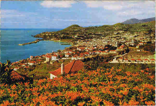 MD 52 - FUNCHAL (Madeira) Vista Oeste - Ed. Hans Huber KG Agente no Funchal: Francisco Ribeiro, Rua Nova de S. Pedro, telef. 23930 - SD - Dim. 14,8x10,4 cm. - Col. F�tima e Manuel B�ia (1975).