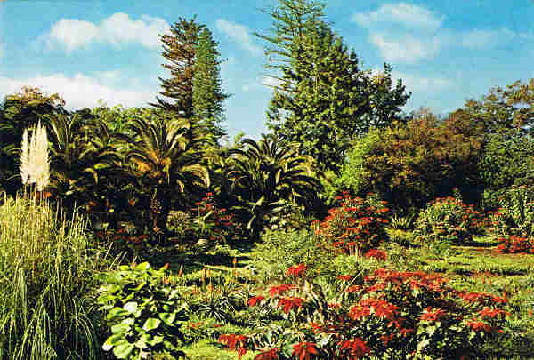 N.� MAD 158/18 - FUNCHAL (Madeira) Parque de Santa Catarina - Ed. Francisco Ribeiro, Rua Nova de S. Pedro, 27 telef. 23930 