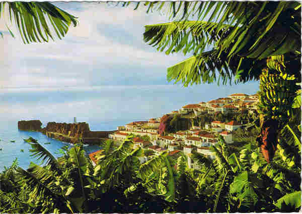 N.� MD7 MADEIRA  C�mara de Lobos: aldeia piscat�ria - Ed. Hans Huber KG Agente no Funchal: F. Ribeiro, Rua Nova de S. Pedro, 27 telef. 23930 - SD - Dim. 14,9x10,4 cm - Col. Manuel e F�tima B�ia (1975).