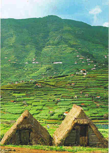 N.� 185 - ILHA DA MADEIRA (PORTUGAL) Vale do Machico - Ed. Centro de Caridade "N. S.� do Perp�tuo Socorro" - PORTO Distribuidor no Funchal: Francisco Ribeiro, Rua Nova de S. Pedro, 27 Tel.23930 Impreso in Spain Fotografia gentilmente cedida por d'E�A - SD - Dim. 10,4x15 cm. - Col. Manuel e F�tima B�ia (1975).