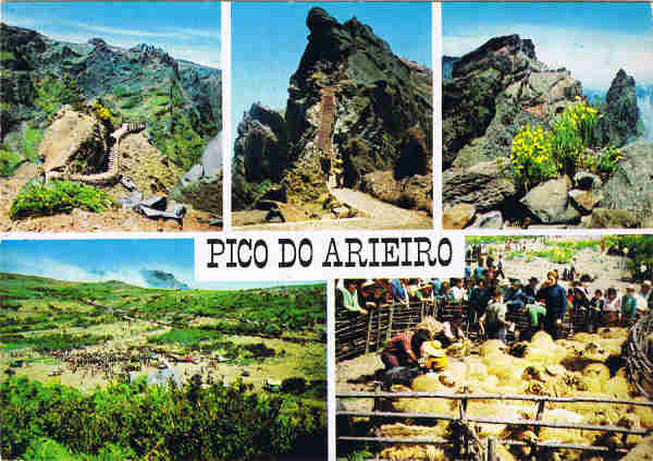 POR. 70 - MADEIRA Pico do Arieiro 1.810m (5939 ft) Tosquias - Ed. Francisco Ribeiro - Rua Nova de S. Pedro, 27 telef. 23930 FUNCHAL - MADEIRA GM - SD - Dim. 14,6x10,3 cm. -Col. Manuel e F�tima B�ia (1975).