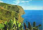 MAD. 186/46 - CAMPAN�RIO (Madeira) Rochas sobre o mar - Ed. Francisco Ribeiro - Rua Nova de S. Pedro, 27 telef. 23930 FUNCHAL - MADEIRA GM - SD - Dim. 14,8x10,2 cm. - Col. Manuel e F�tima B�ia (1975).