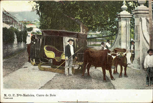 M.O.P. N� 8 - Madeira. Carro de Bois - Edi��o an�nima - SD - Dim. 94x141 mm - Col. �nio Semedo