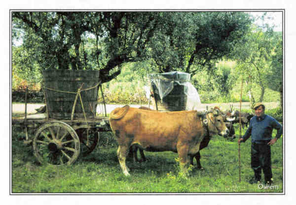 S/N -  OUR�M - PORTUGAL Ruralidades - Ed. RTL/F - 2003 - Fotografia: Quercus/Our�m - REGI�O DE TURISMO - Leiria-F�tima www.rtleiriafatima.pt . - Dim. 10,5x15 cm. - Col. Manuel B�ia (2009)
