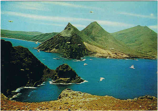 MD38 P - PORTO SANTO (Madeira) O Ilh�u de Cima - Ed. Francisco Ribeiro - Rua Nova de S. Pedro, 27 telef. 23930 FUNCHAL-MADEIRA - SD - Dim. 14,8x10,3 cm - Col. Manuel B�ia (1988).